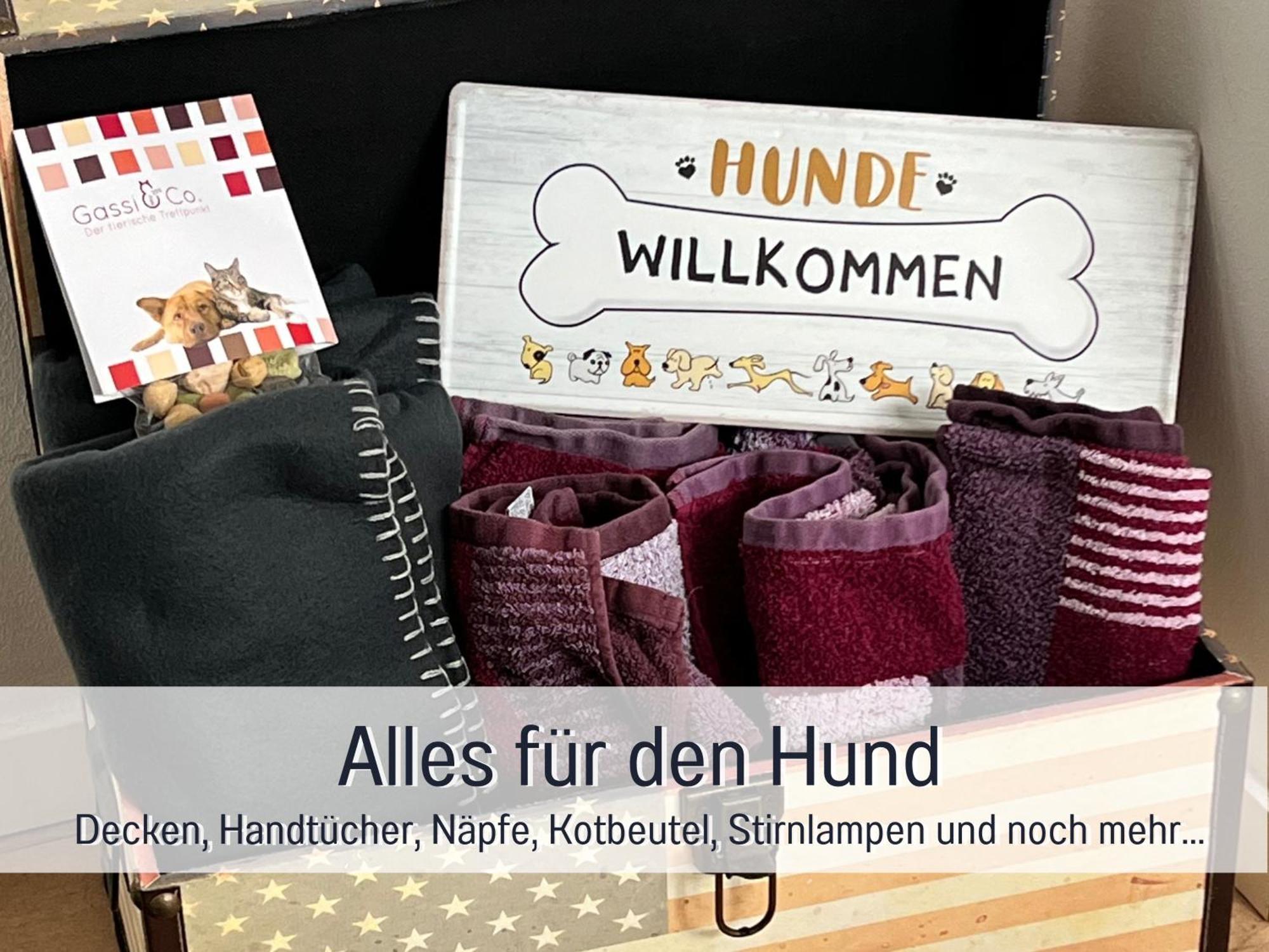 Ferienhaus Dackelglueck Schmallenberg Ngoại thất bức ảnh