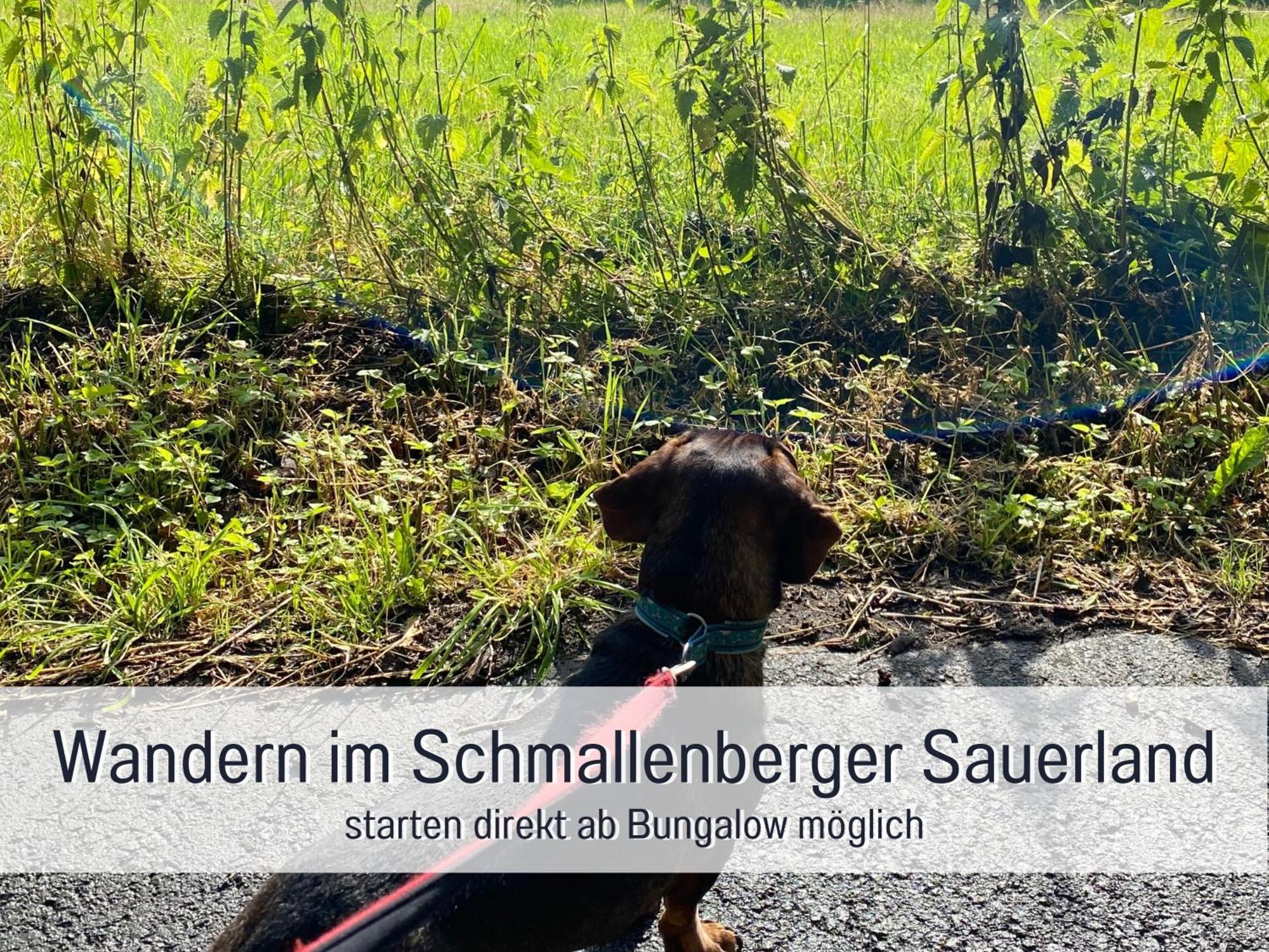 Ferienhaus Dackelglueck Schmallenberg Ngoại thất bức ảnh
